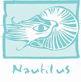 Nautilus in Blue