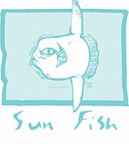 Sunfish in Blue