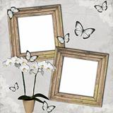 Wooden frames with butterfly and orchids on grange background 