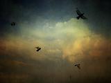 grunge cloudy sky background with birds
