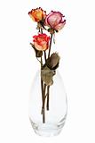 bouquet of dried roses