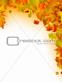 Multi-colored leaves on a white background. EPS 8
