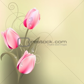 Light green background with tulips