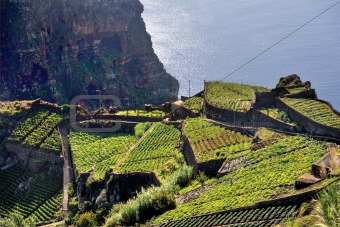 South coast of Madeira island, Rancho - Portugal