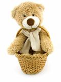 Toy bear in a small basket