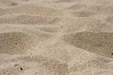sand on the beach, close-up