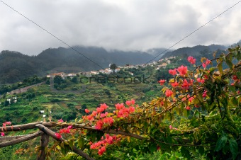 Village on the north coast of Madeira island - Portugal
