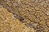 Cracked dry ground texture
