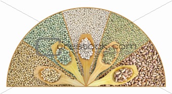 Collage of dried lentils, peas, soybeans, beans with wooden spoon