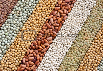Mixture of dried lentils, peas, soybeans, beans  - background