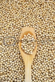 Wooden spoon and dried soybeans