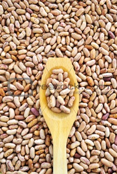 Wooden spoon and dried pinto beans
