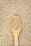 Wooden spoon and dried husked oats