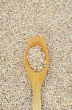 Wooden spoon and dried pearled barley