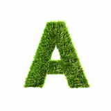 3d grass letter isolated on white background - A