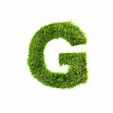 3d grass letter isolated on white background - G