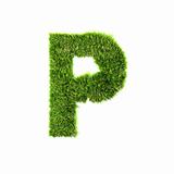 3d grass letter isolated on white background - P