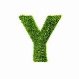 3d grass letter isolated on white background - Y