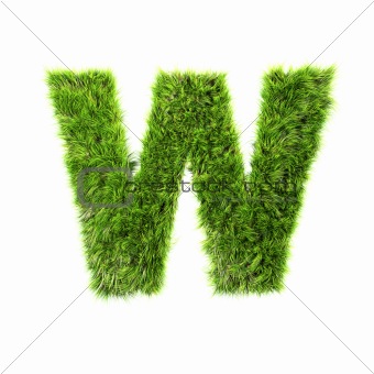 3d grass letter isolated on white background - W