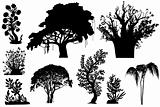 trees of Africa - vector