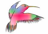 hummingbird - vector