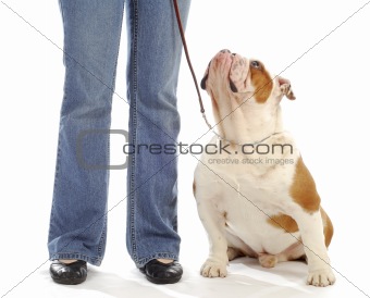 dog obedience training