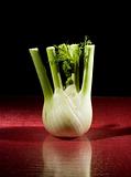 Fennel on Red Glasstable