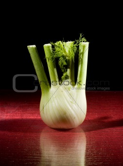Fennel on Red Glasstable