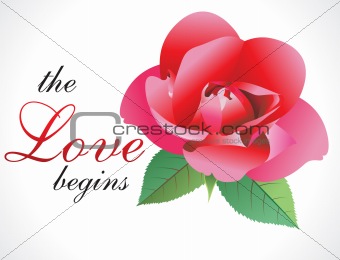 abstract love rose wallpaper