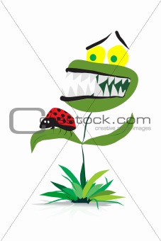 funny carnivorous plant cartoon 