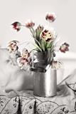 Tulips in old Milk Can