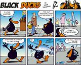 Black Ducks Comics episode 41