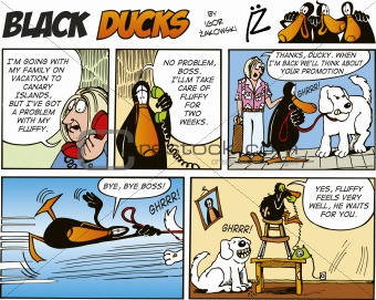 Black Ducks Comics episode 50
