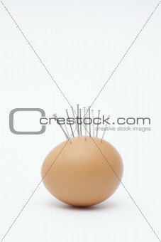Pins Egg