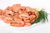 boiled shrimps on a plate