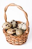 Quail eggs in basket