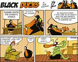 Black Ducks Comics episode 51
