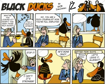 Black Ducks Comics episode 55