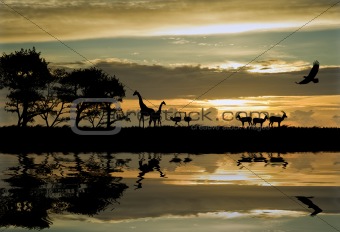 Beautiful African themed silhouette with stunning sunset sky