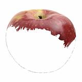 Vector image of an apple. Simulate painting techniques