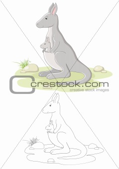 Vector family of kangaroo
