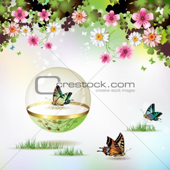 Butterfly isolated