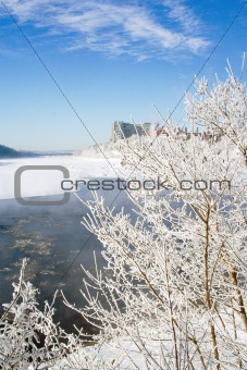 Winter scene frozen branches near river