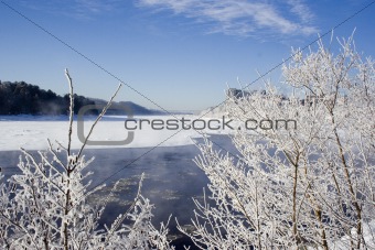 Winter scenic frozen branches near river
