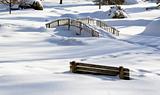 Winter scene in snowy park