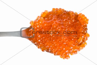 Red caviar in spoon isolated