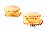 Exquisite french macarons