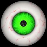 Large human eyeball