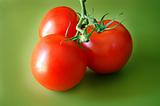 Tomatoes on green background