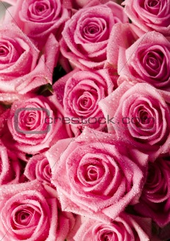 Romantic flowers